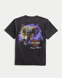 0116-HLI3236850WAO00L-1
