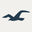 Shop Hollister Co. Philippines logo