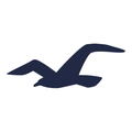 Hollister PH